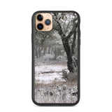 Texas Snow iPhone Case