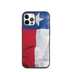 Texas Flag iPhone case