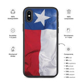 Texas Flag iPhone case